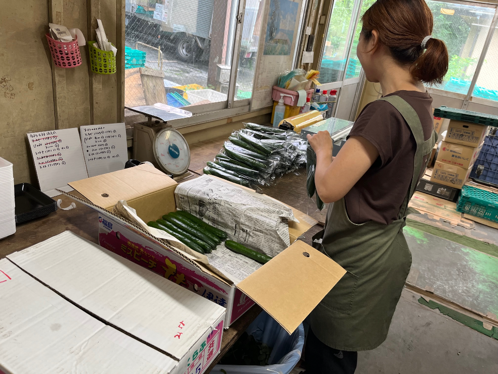 鎌万水産本店(神奈川県鎌倉市/軽作業)_2