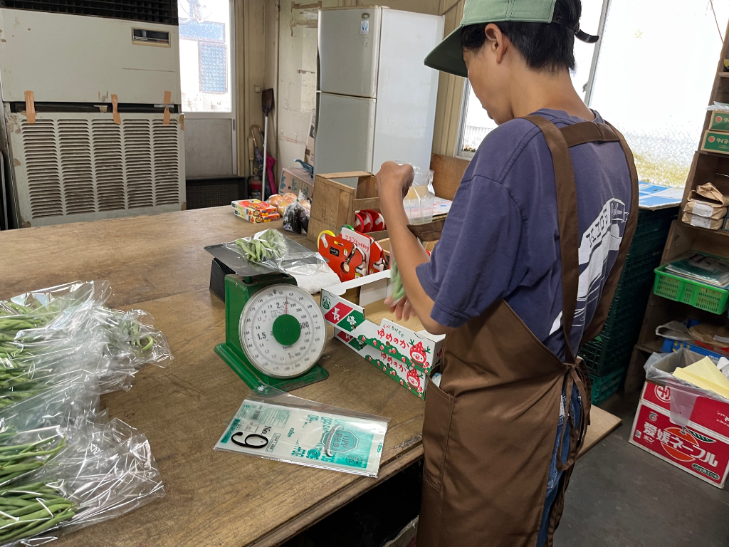 鎌万水産本店(神奈川県鎌倉市/軽作業)_3